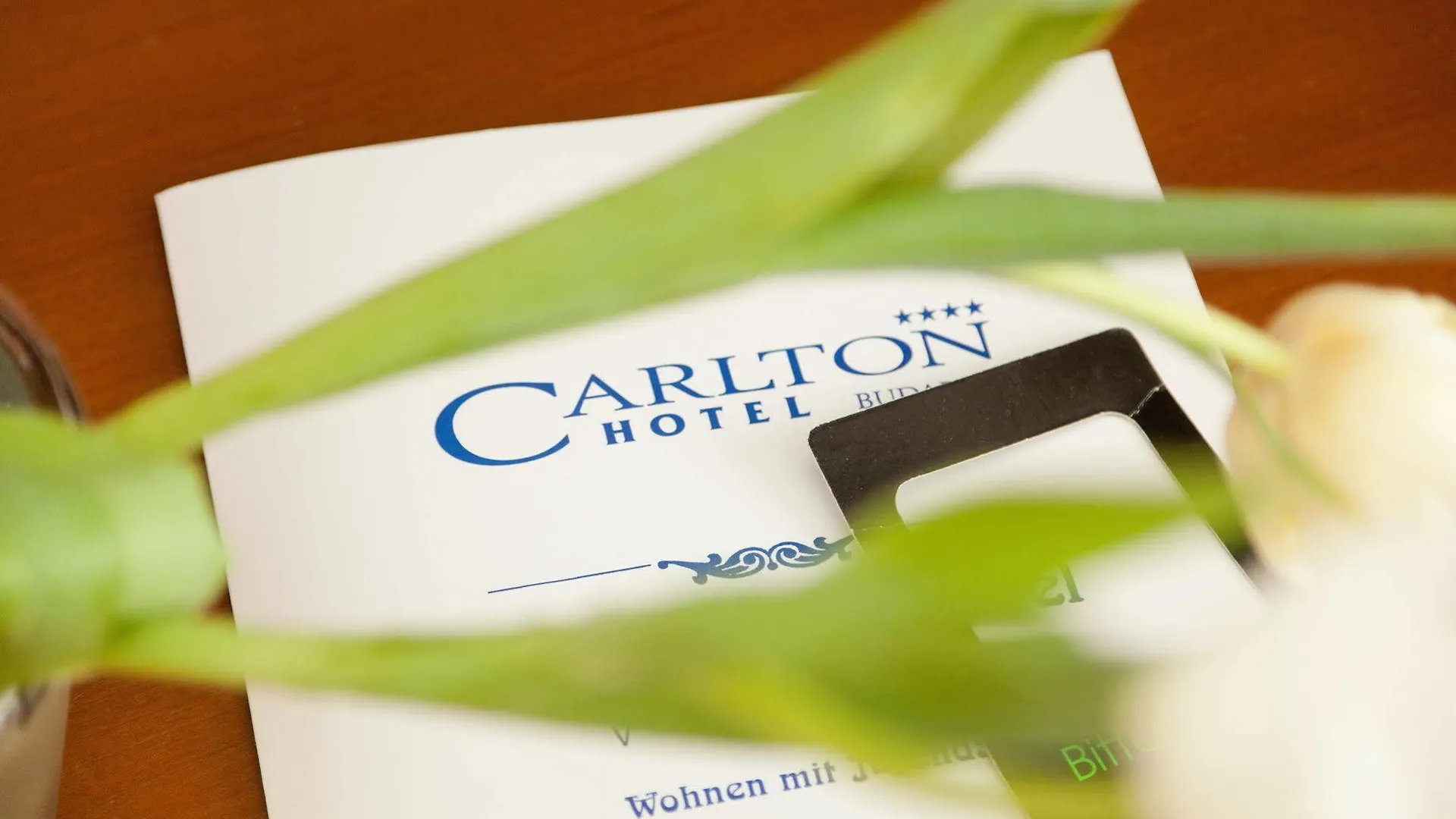 Carlton Opera Hotel Vienna